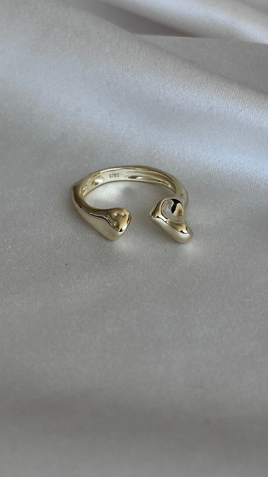 ANILLO GAUDI