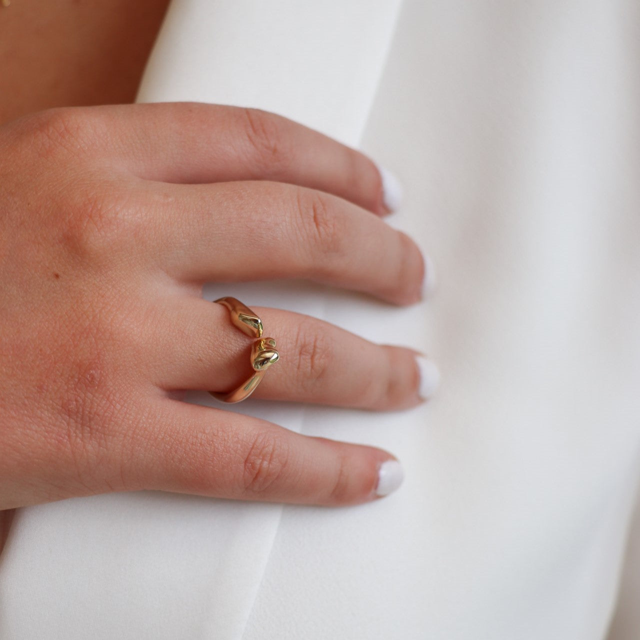 ANILLO GAUDI