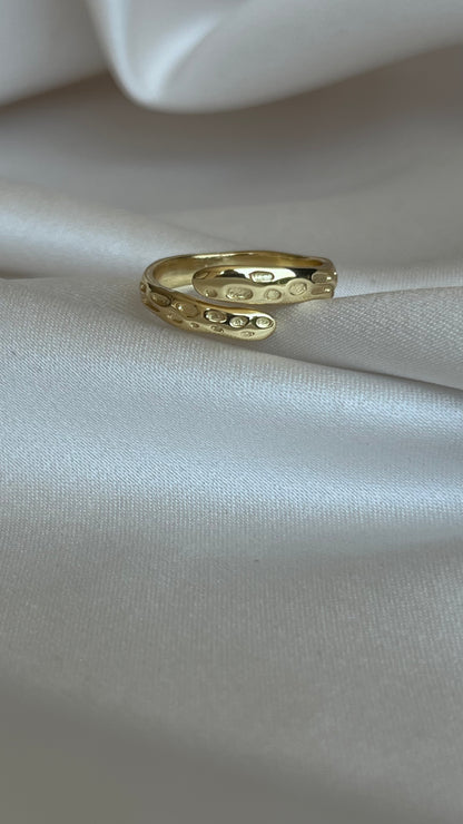ANILLO SERPENT BODY